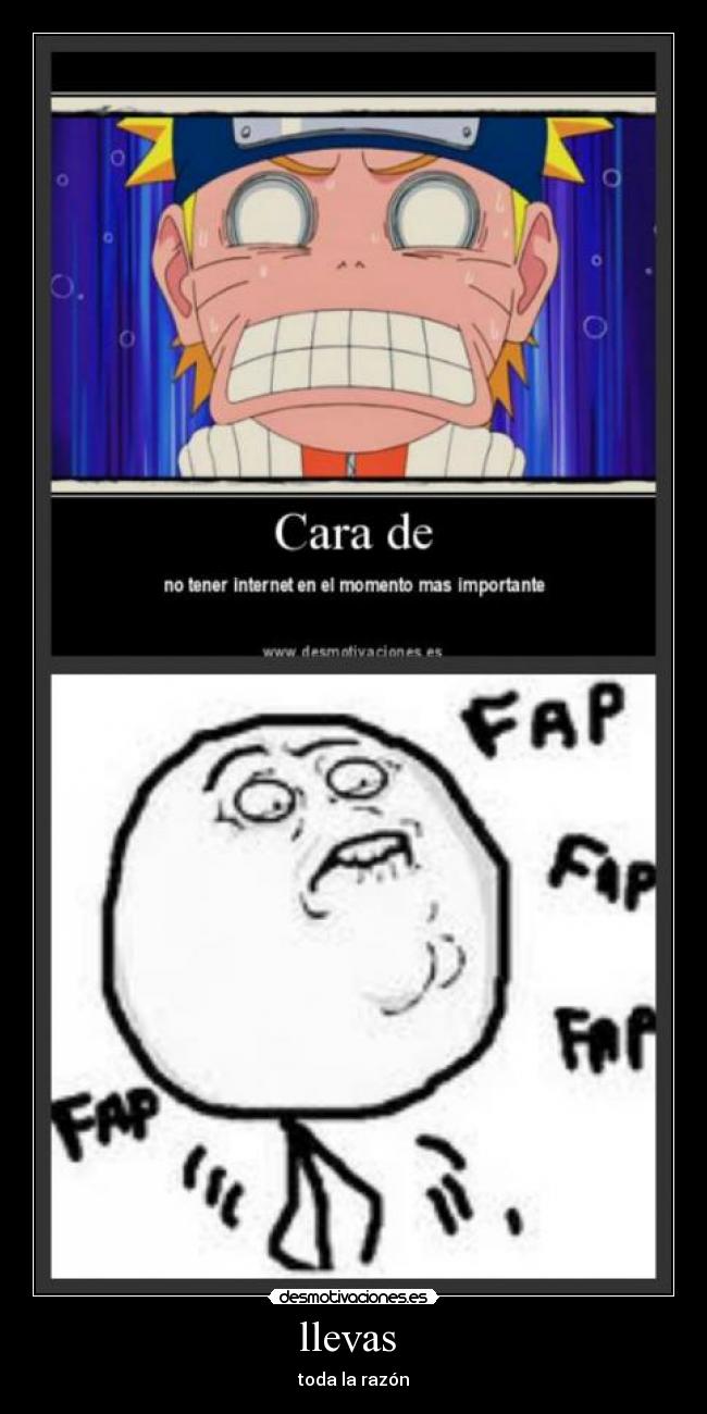 llevas - toda la razón