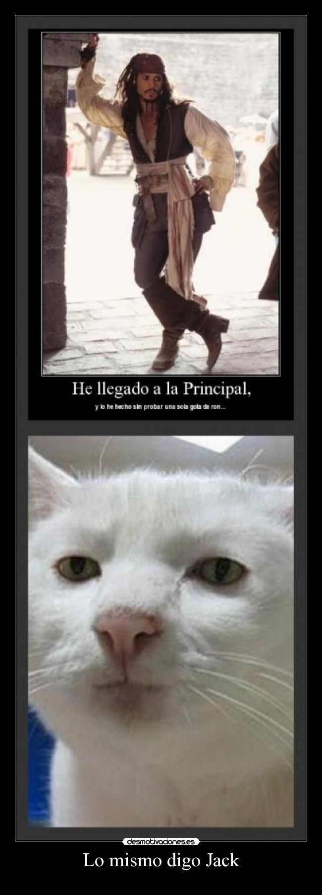 Lo mismo digo Jack - 