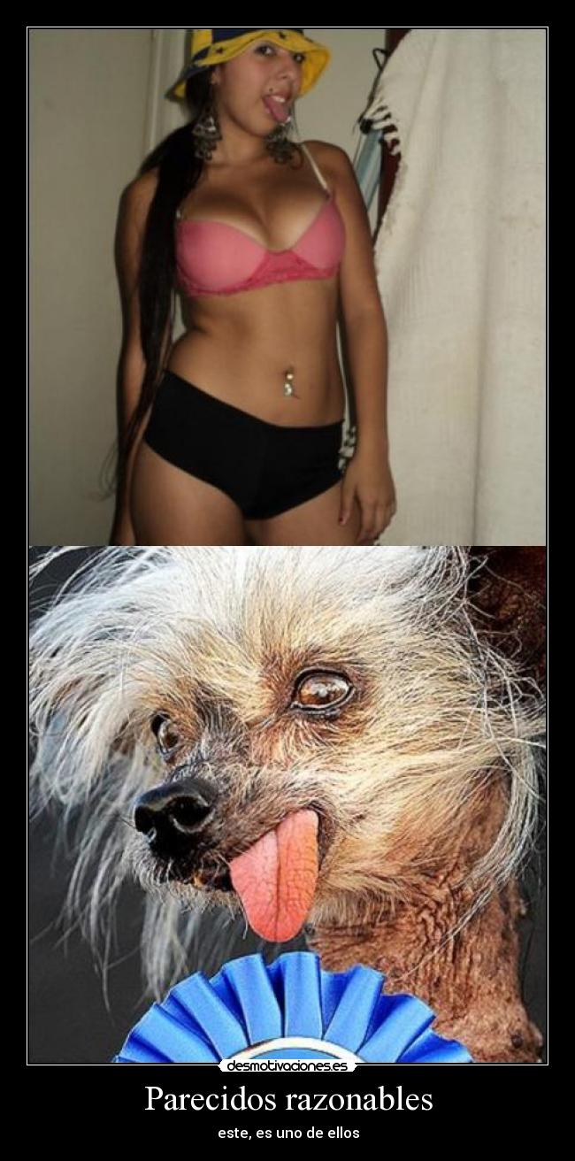 Parecidos razonables -