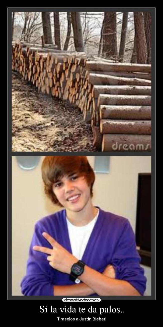 Si la vida te da palos.. -