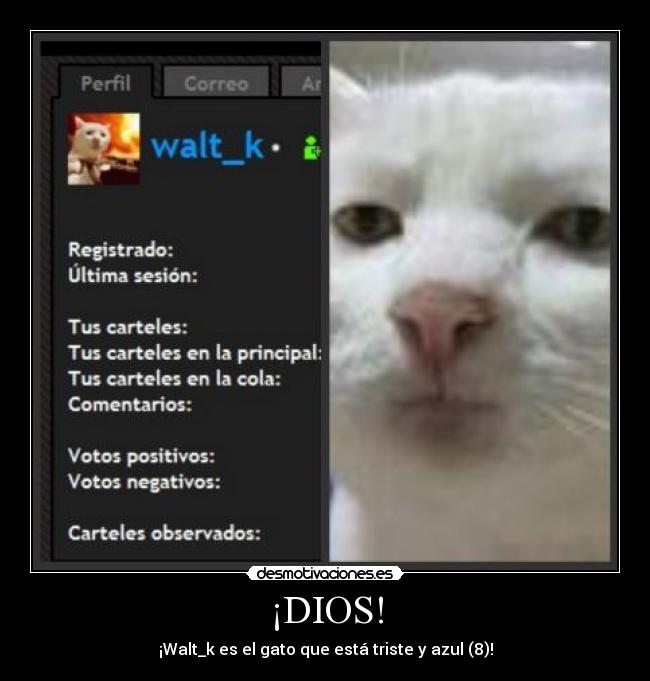 ¡DIOS! - ¡Walt_k es el gato que está triste y azul (8)!