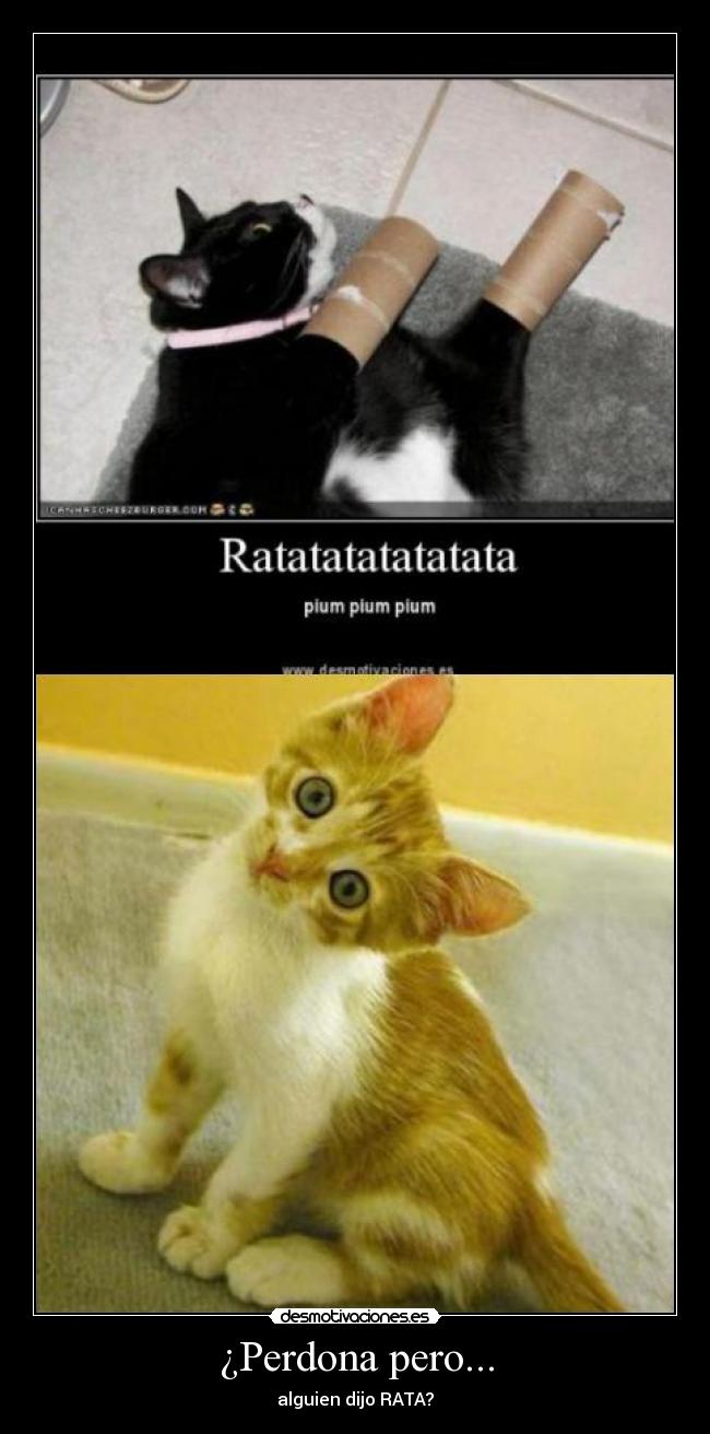 ¿Perdona pero... - alguien dijo RATA?