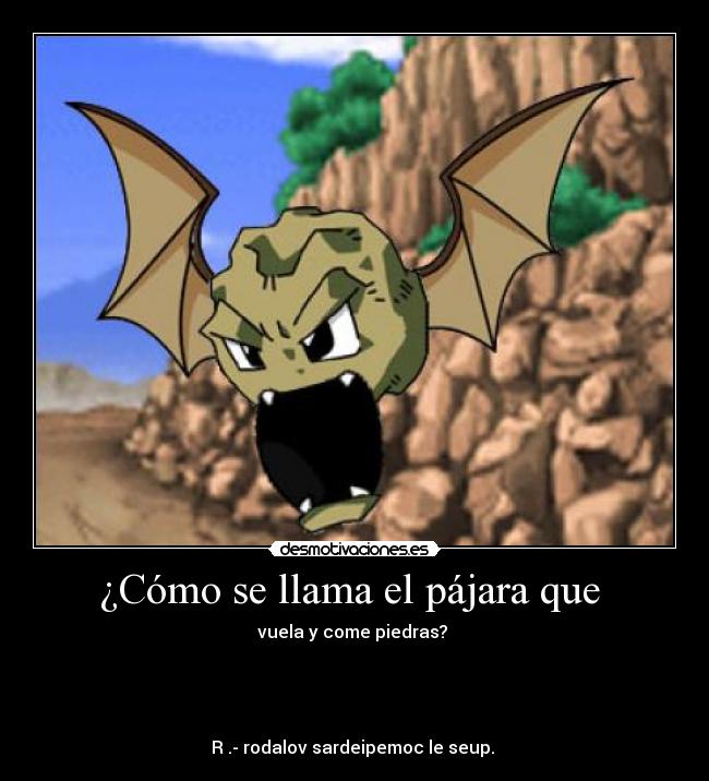 ¿Cómo se llama el pájara que -