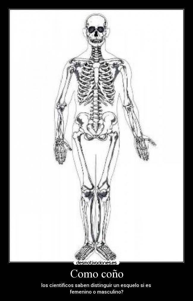 carteles como cono desmotivaciones