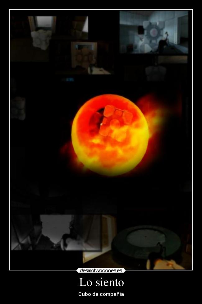 Lo siento - Cubo de compañia