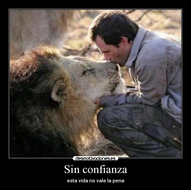 Sin confianza - esta vida no vale la pena