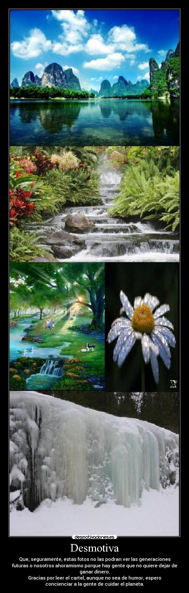 carteles planeta naturaleza animales martinzx desmotivaciones