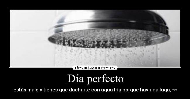 Día perfecto -