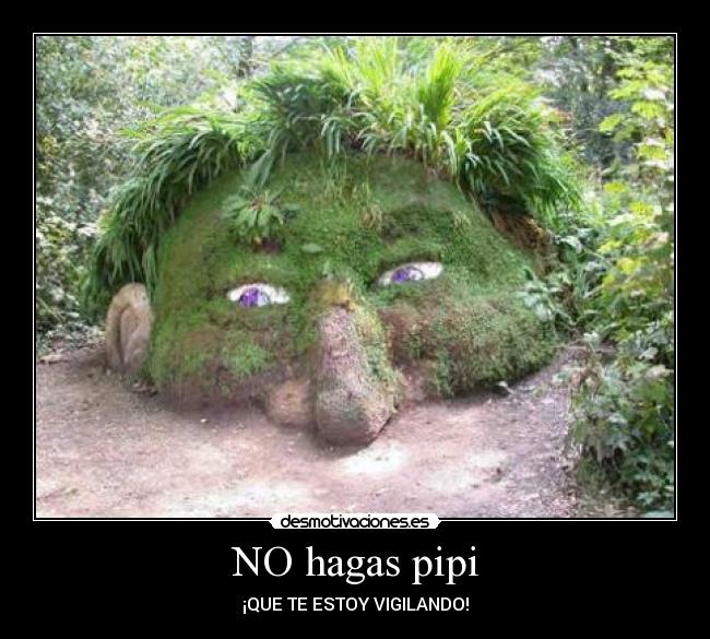 NO hagas pipi - 