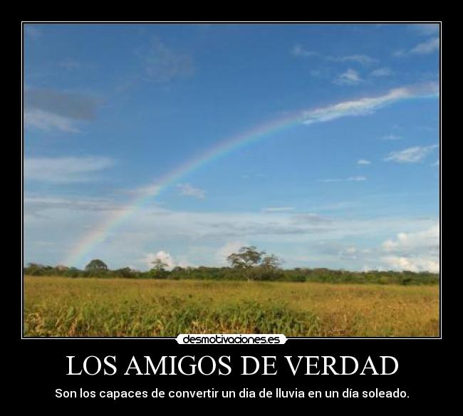 LOS AMIGOS DE VERDAD -
