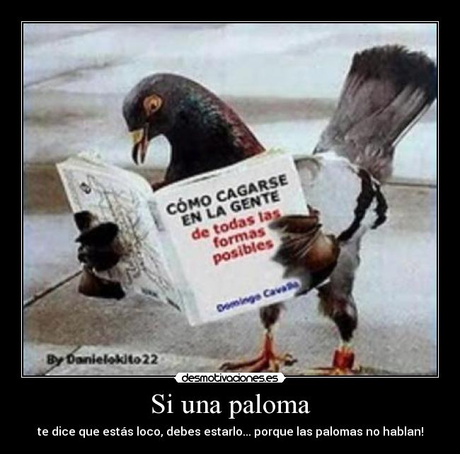 Si una paloma - 