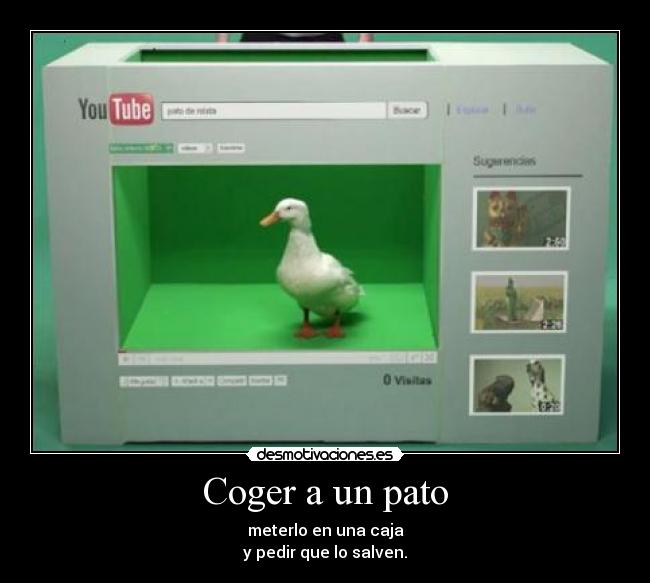 carteles pato willix desmotivaciones