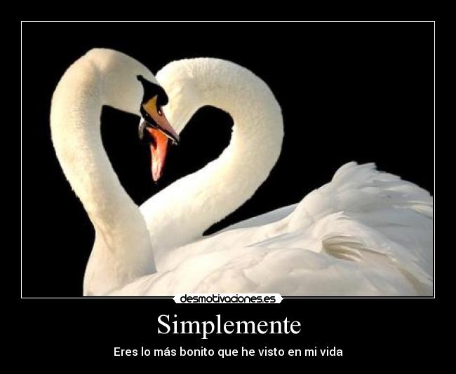 Simplemente - 
