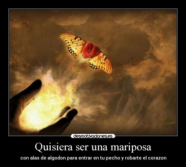 Quisiera ser una mariposa - con alas de algodon para entrar en tu pecho y robarte el corazon