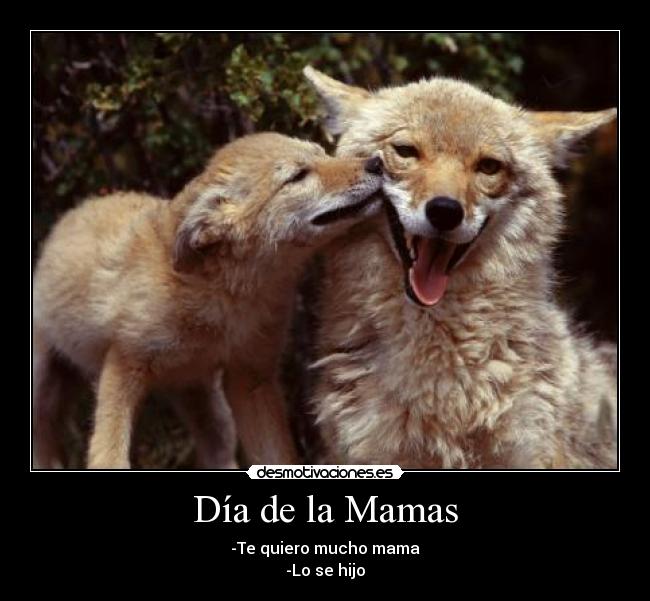 Día de la Mamas - 