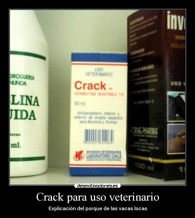 Crack para uso veterinario - Explicación del porque de las vacas locas