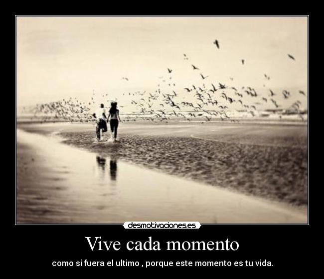 Vive cada momento -
