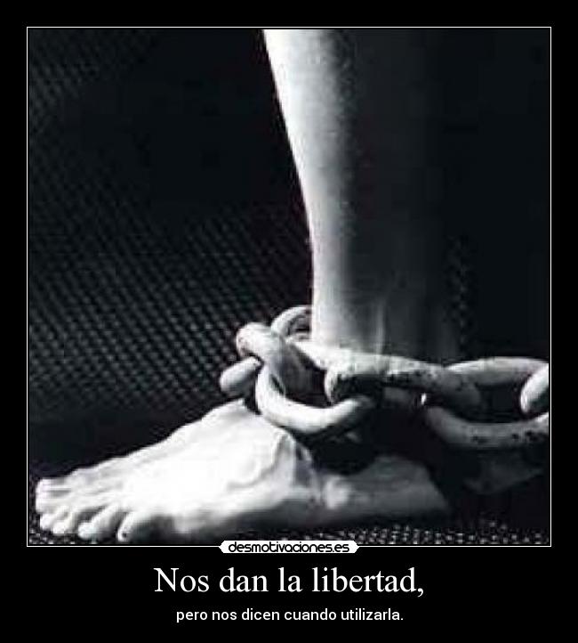 Nos dan la libertad, -