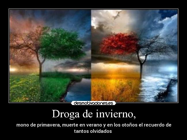 Droga de invierno, -