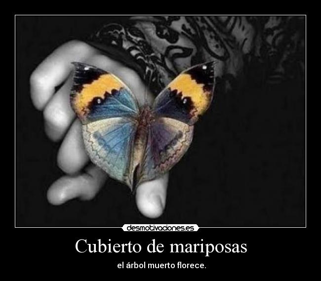 carteles cubierto arbol florece desmotivaciones