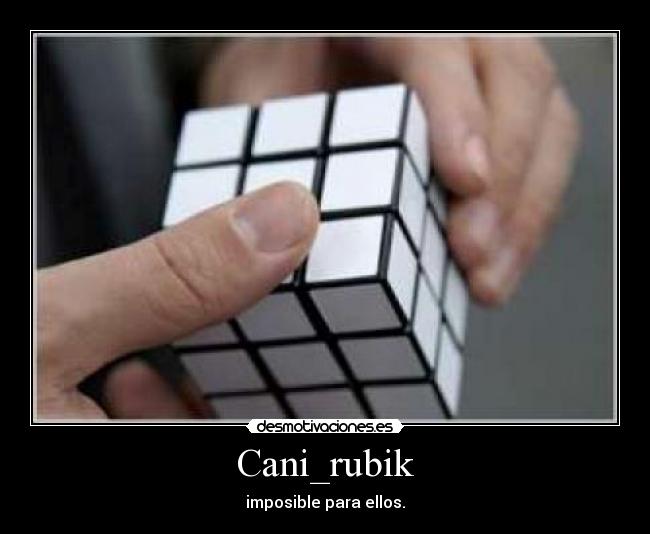 Cani_rubik -