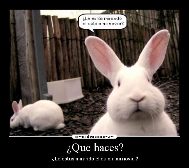 ¿Que haces? - ¿ Le estas mirando el culo a mi novia ?