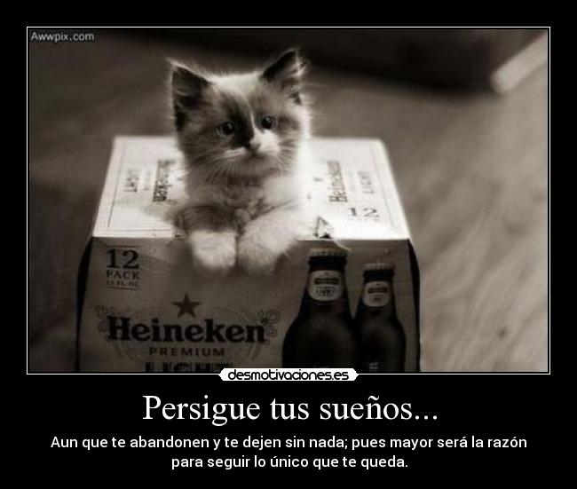 Persigue tus sueños... - Aun que te abandonen y te dejen sin nada; pues mayor será la razón
para seguir lo único que te queda.