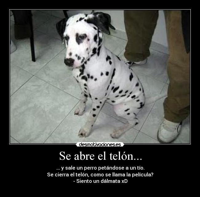 Se abre el telón... -