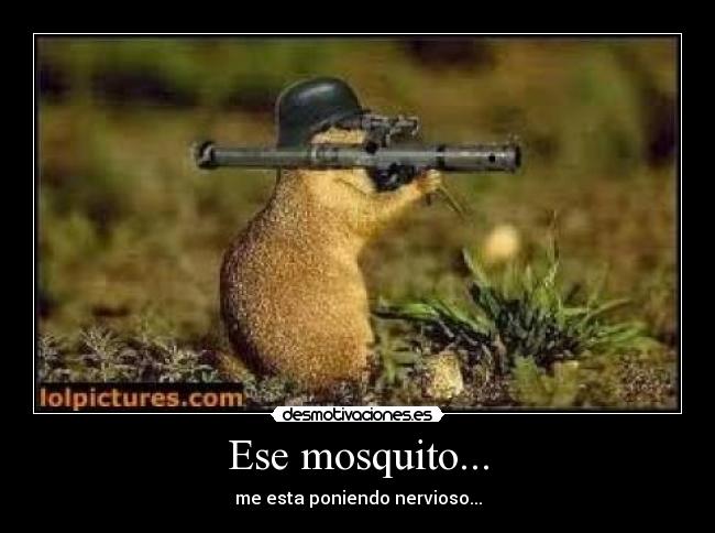 Ese mosquito... - me esta poniendo nervioso...