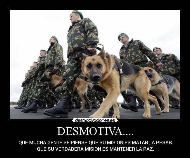 DESMOTIVA.... - 