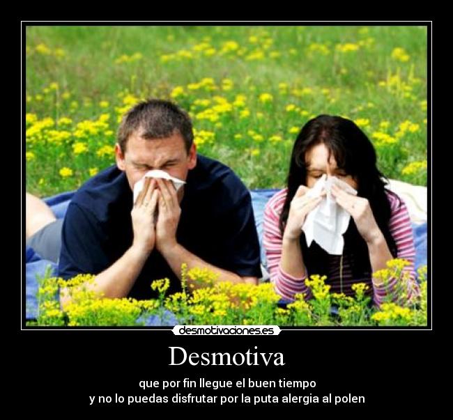 Desmotiva - que por fin llegue el buen tiempo
y no lo puedas disfrutar por la puta alergia al polen