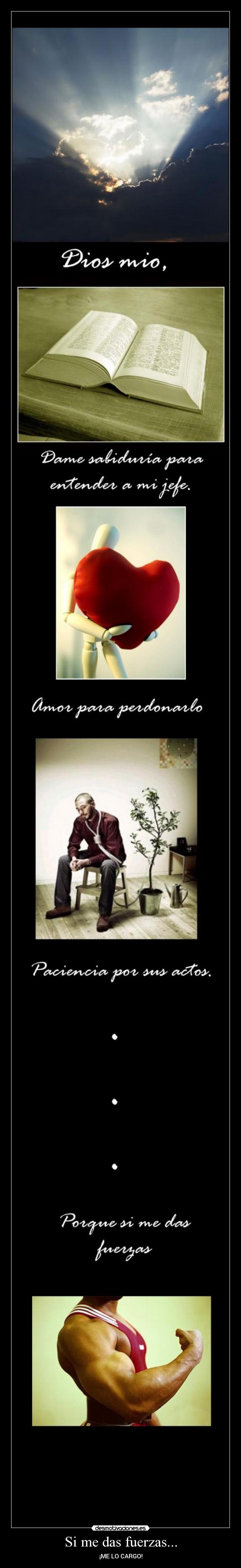 Si me das fuerzas... - ¡ME LO CARGO!