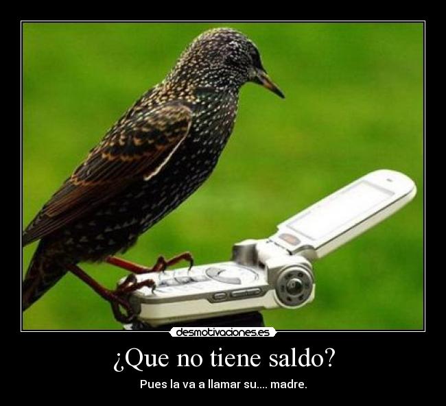 ¿Que no tiene saldo? - 