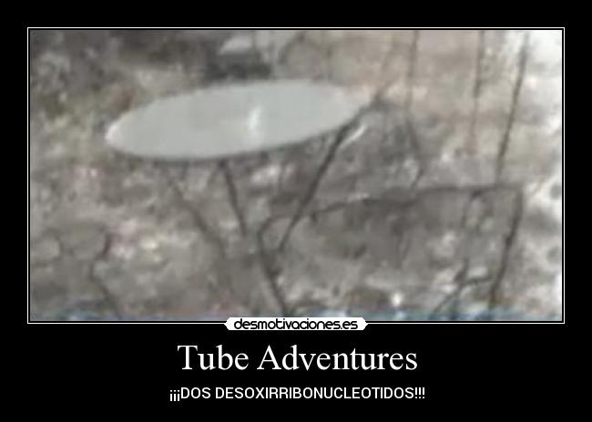 Tube Adventures - ¡¡¡DOS DESOXIRRIBONUCLEOTIDOS!!!