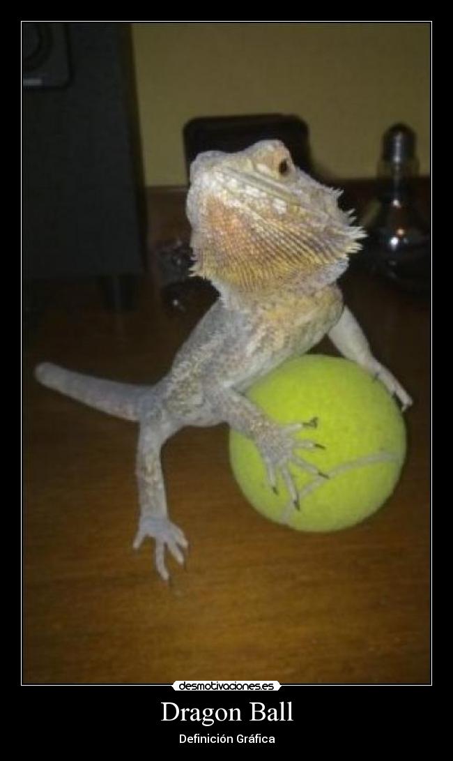 Dragon Ball - Definición Gráfica