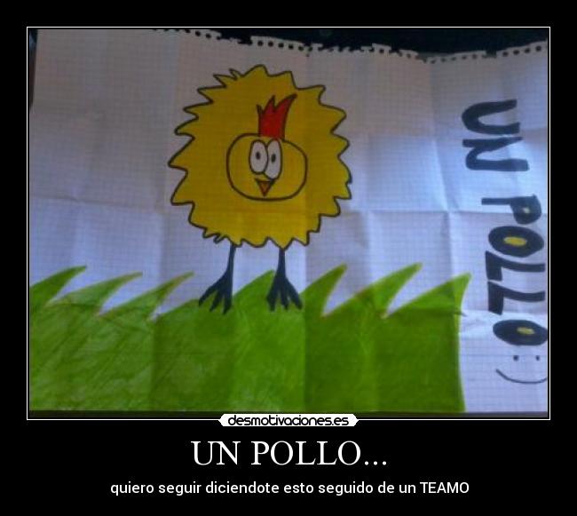 UN POLLO... -