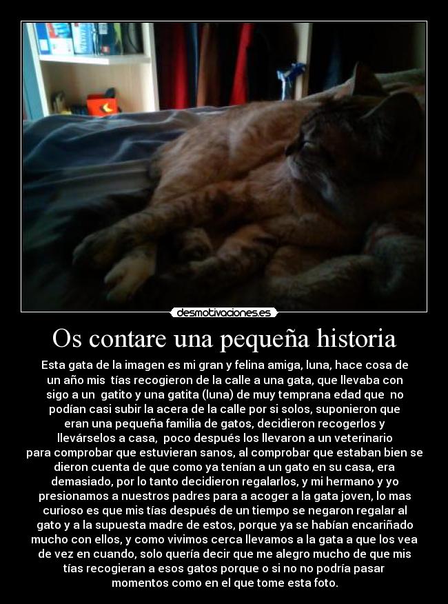 Os contare una pequeña historia - 