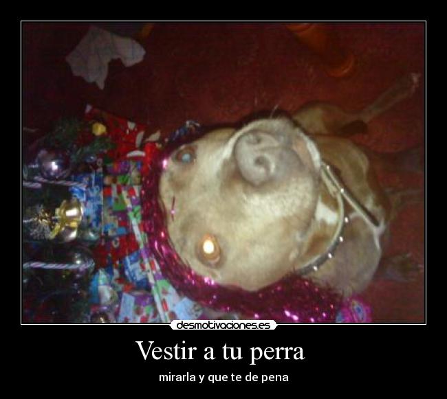Vestir a tu perra - mirarla y que te de pena