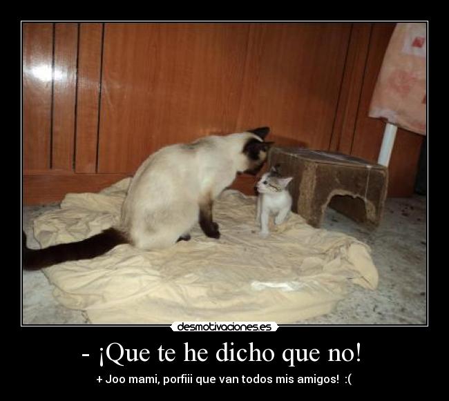 - ¡Que te he dicho que no! -