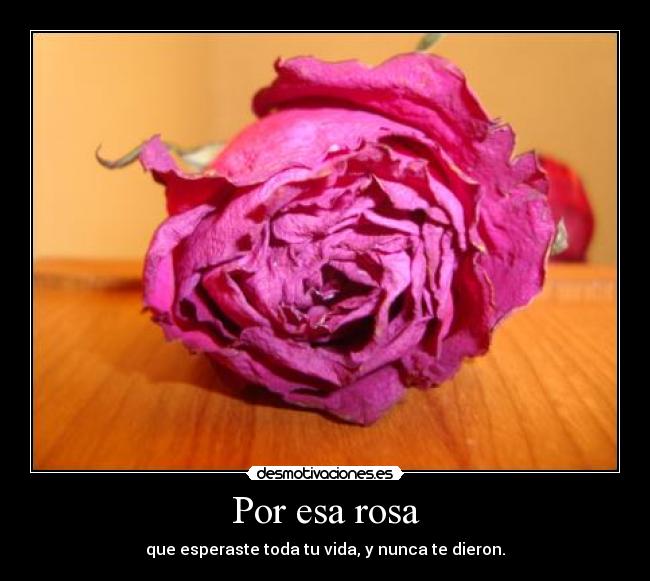 Por esa rosa -