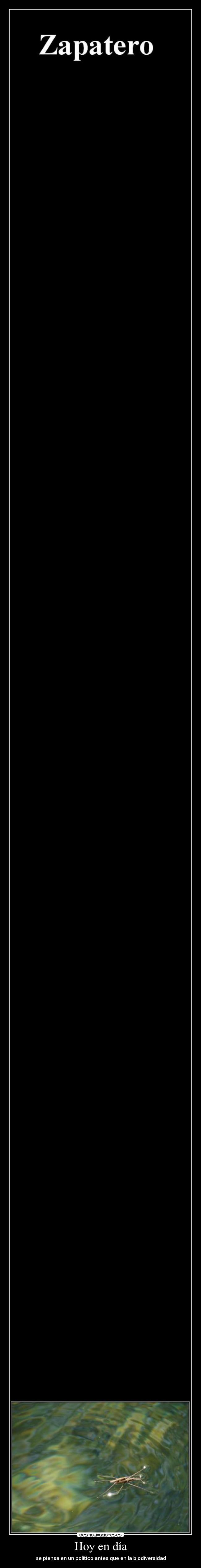 Hoy en día - se piensa en un político antes que en la biodiversidad