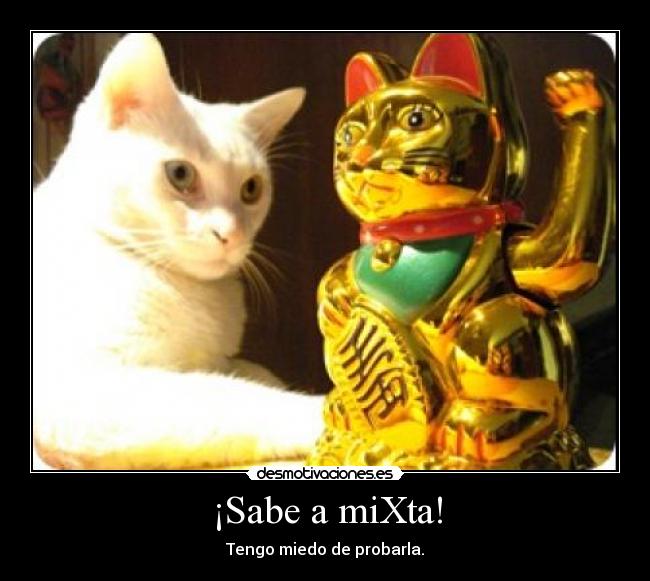 ¡Sabe a miXta! - Tengo miedo de probarla.