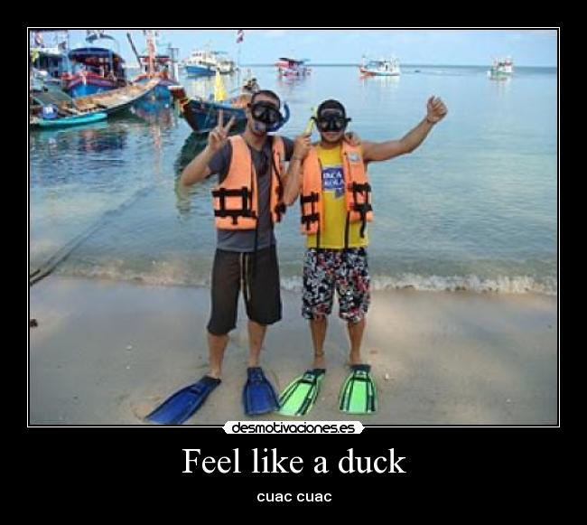 carteles desmotivaciones