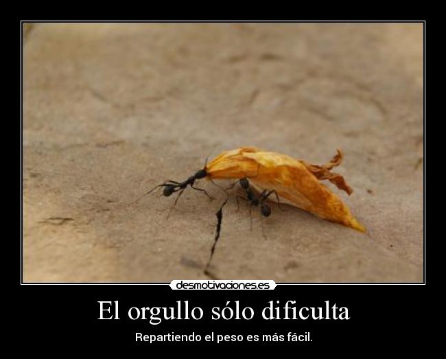 El orgullo sólo dificulta - Repartiendo el peso es más fácil.