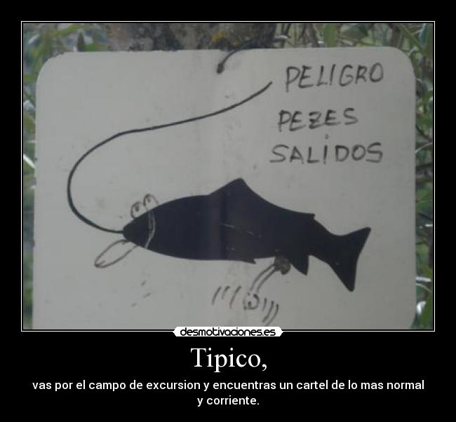 Tipico, - vas por el campo de excursion y encuentras un cartel de lo mas normal y corriente.