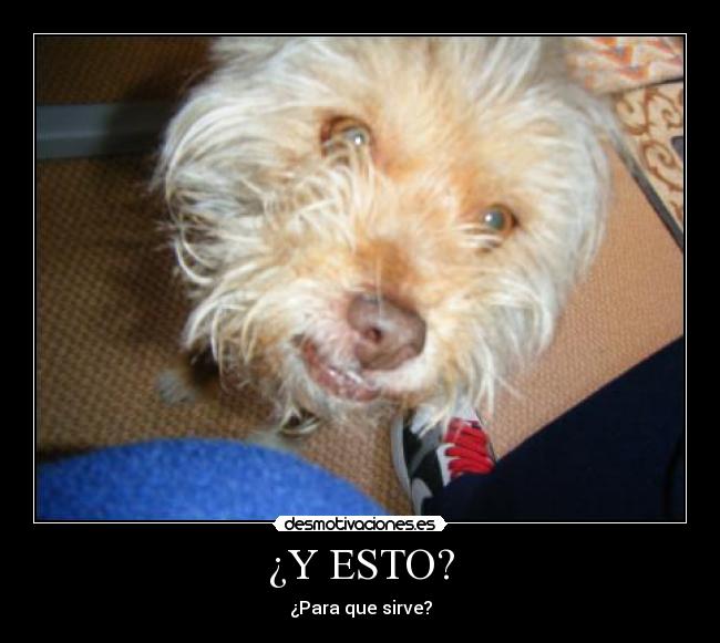 ¿Y ESTO? -