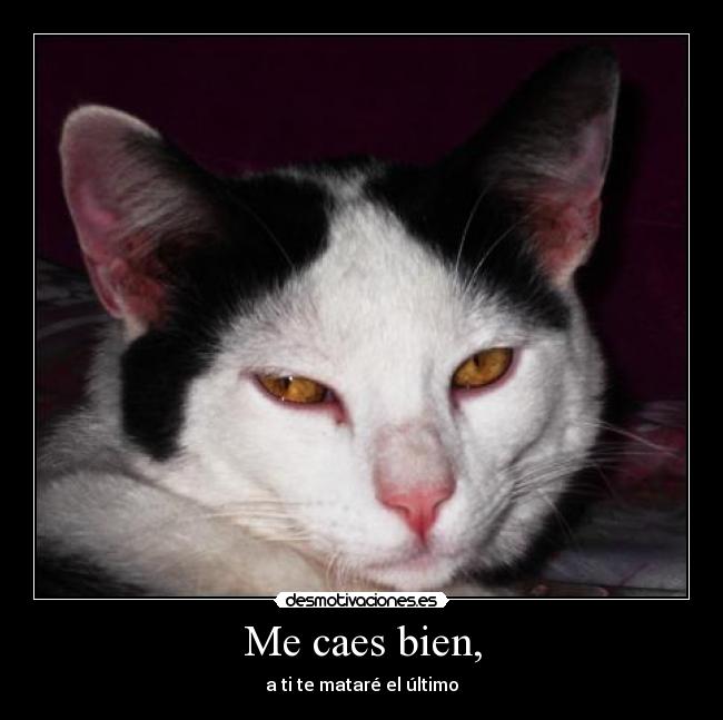 Me caes bien, - 