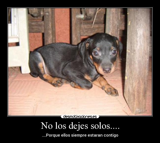 No los dejes solos.... -