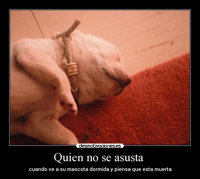 Quien no se asusta  - 