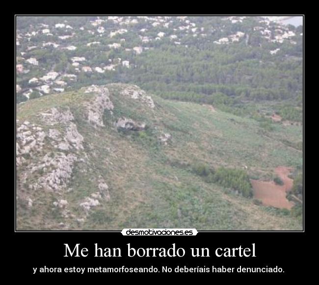 Me han borrado un cartel - y ahora estoy metamorfoseando. No deberíais haber denunciado.